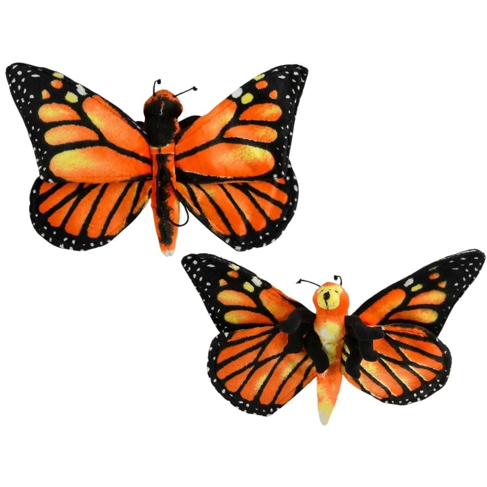 Amazon.com: Rhode Island Novelty 13